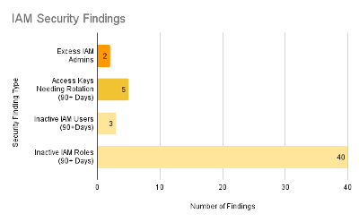 Figure 1. Surfaced IAM Security Findings by Type 